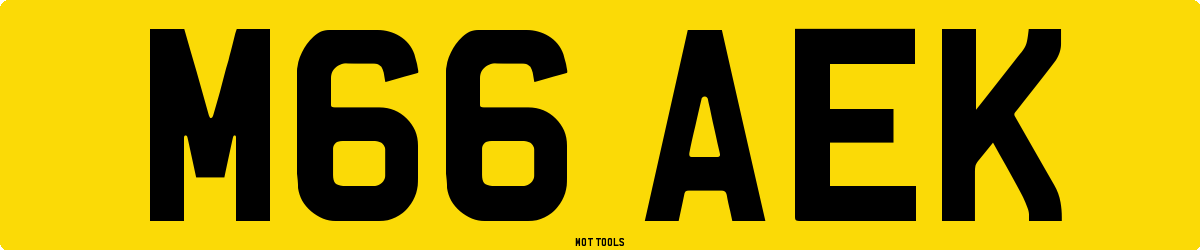 M66AEK MOT Check