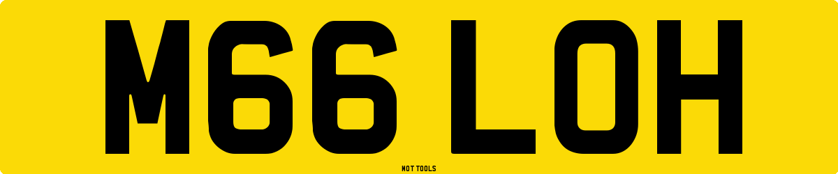 M66LOH MOT Check