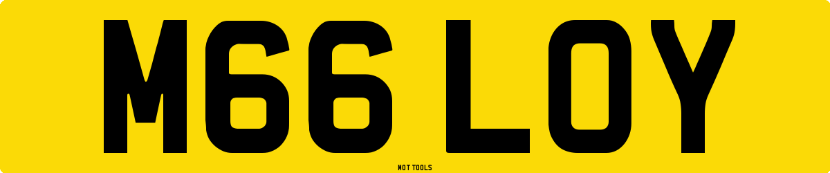 M66LOY MOT Check