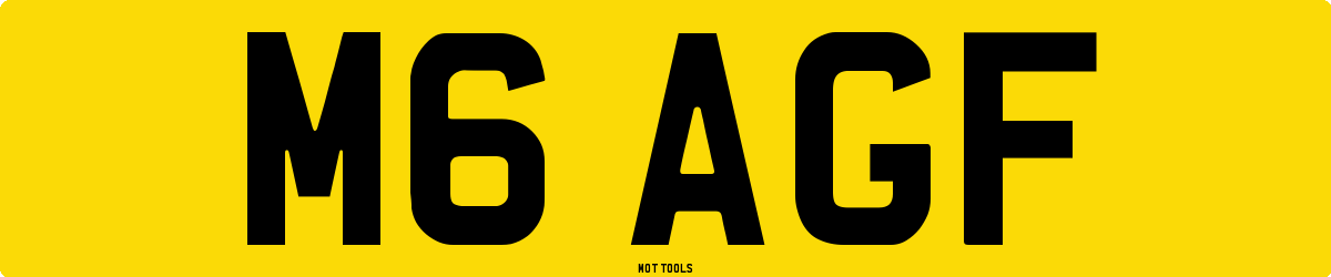 M6AGF MOT Check