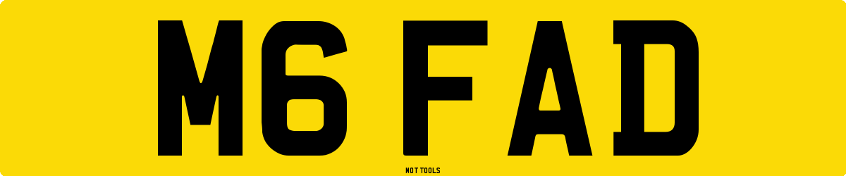 M6FAD MOT Check