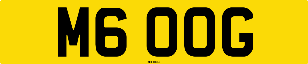 M6OOG MOT Check