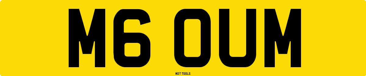 M6OUM MOT Check