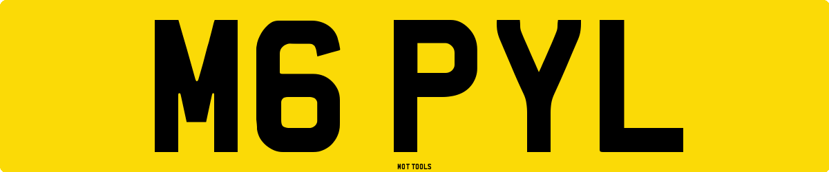 M6PYL MOT Check