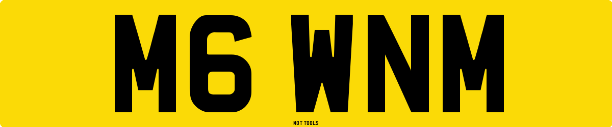 M6WNM MOT Check