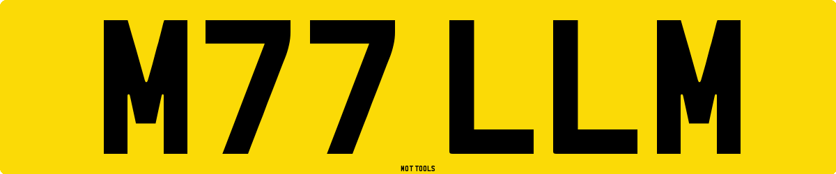 M77LLM MOT Check