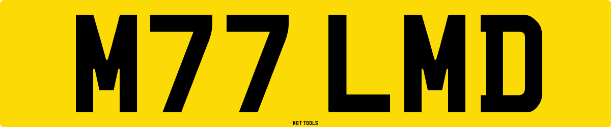 M77LMD MOT Check