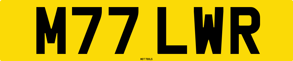 M77LWR MOT Check