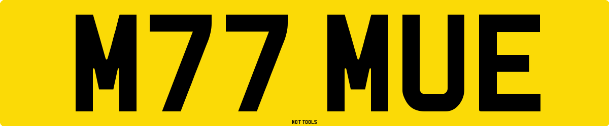 M77MUE MOT Check