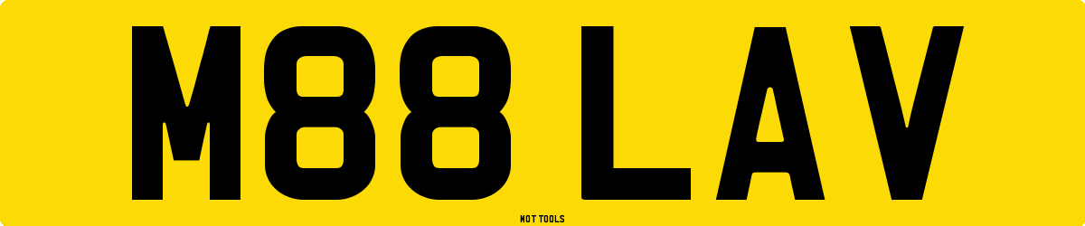 M88LAV MOT Check