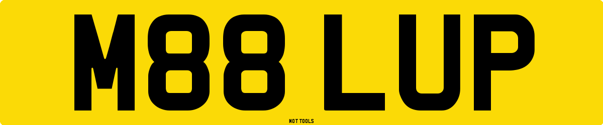 M88LUP MOT Check