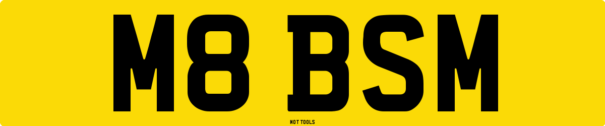 M8BSM MOT Check