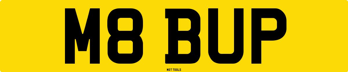 M8BUP MOT Check