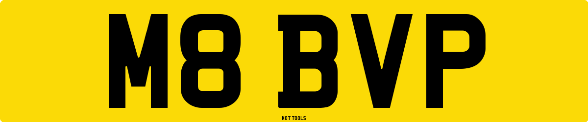 M8BVP MOT Check