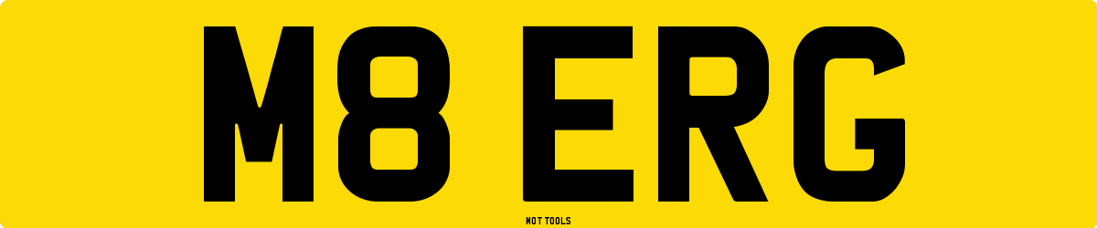 M8ERG MOT Check