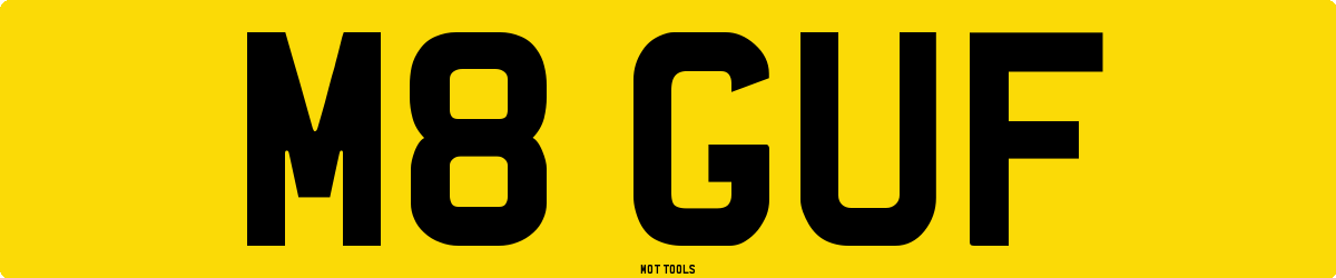 M8GUF MOT Check