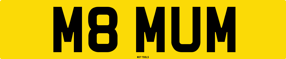 M8MUM MOT Check