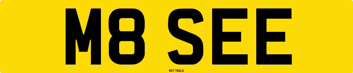 M8SEE MOT Check