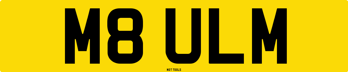 M8ULM MOT Check