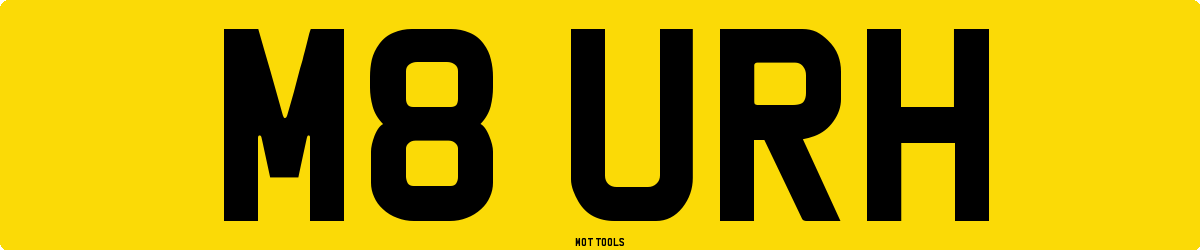 M8URH MOT Check
