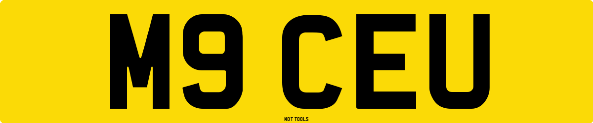 M9CEU MOT Check