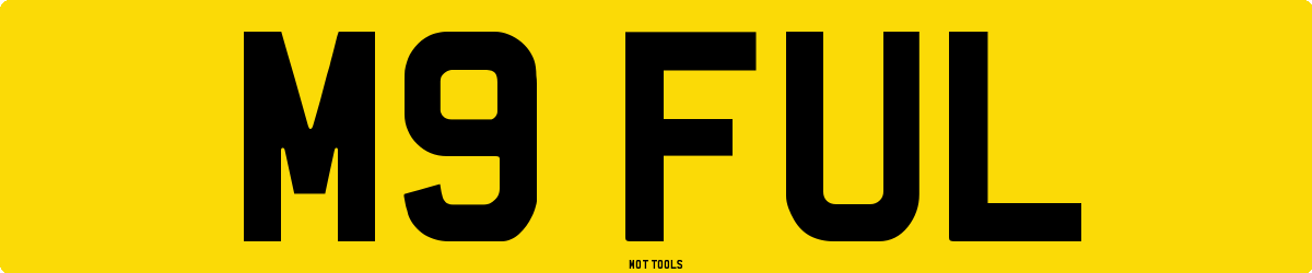 M9FUL MOT Check