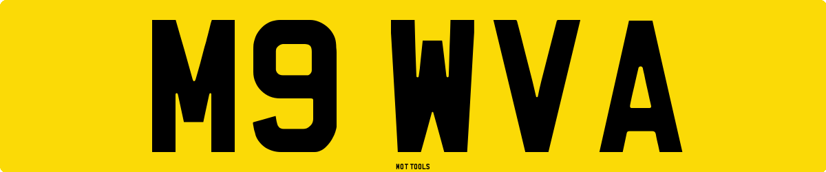 M9WVA MOT Check