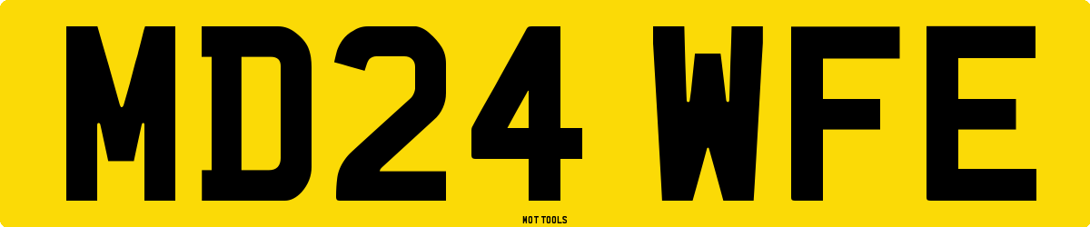 MD24WFE MOT Check