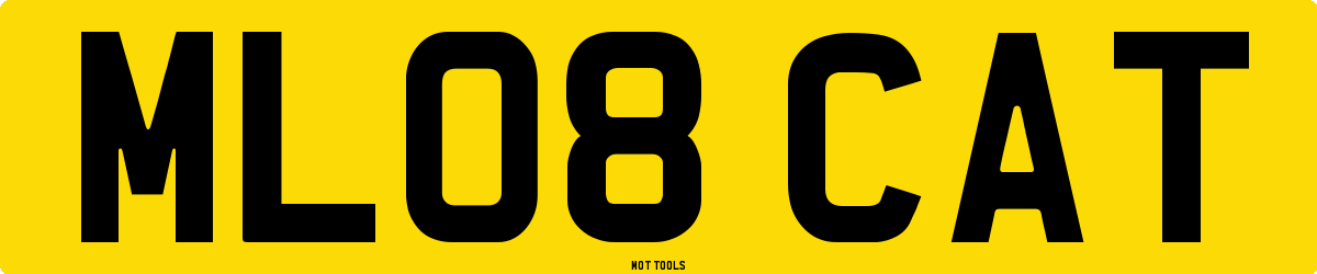 ML08CAT MOT Check