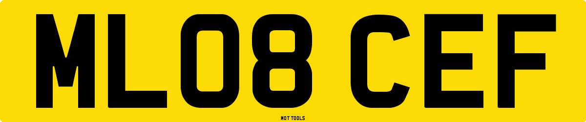 ML08CEF MOT Check