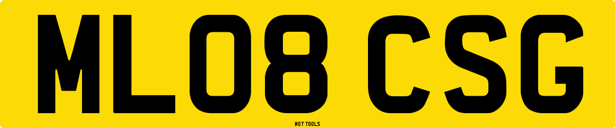 ML08CSG MOT Check