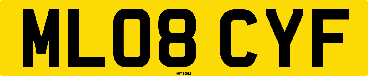 ML08CYF MOT Check