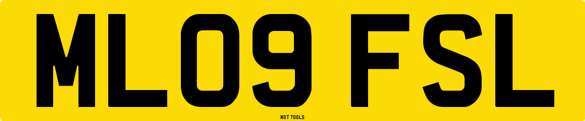 ML09FSL MOT Check