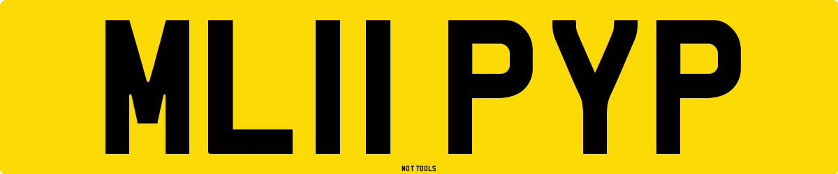 ML11PYP MOT Check