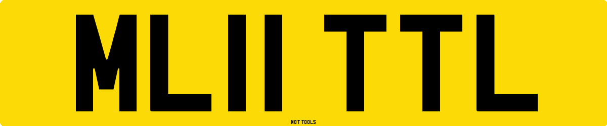 ML11TTL MOT Check