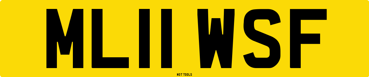 ML11WSF MOT Check