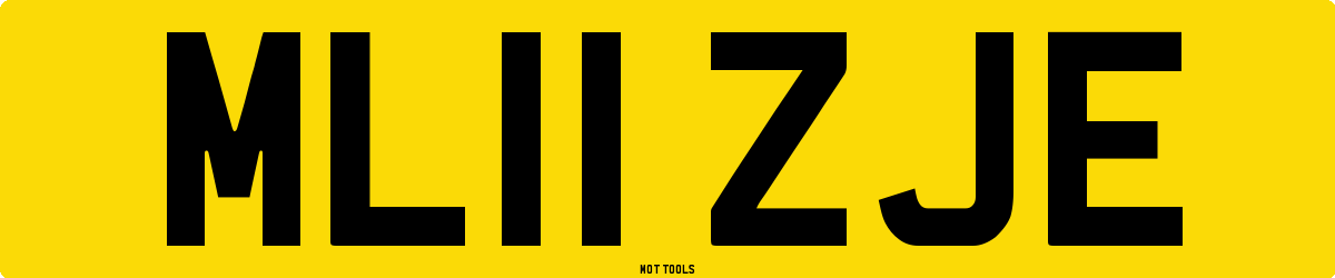ML11ZJE MOT Check
