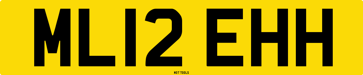 ML12EHH MOT Check
