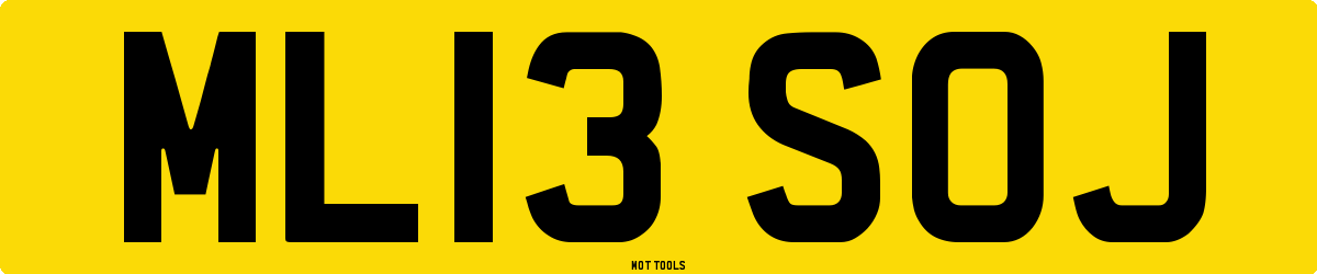 ML13SOJ MOT Check