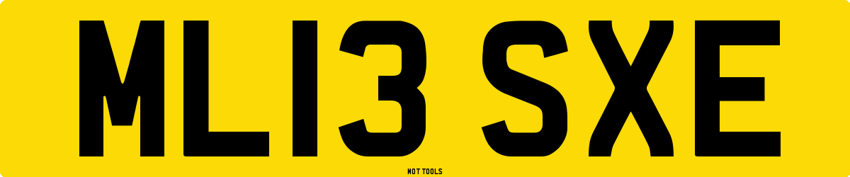 ML13SXE MOT Check