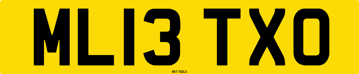 ML13TXO MOT Check