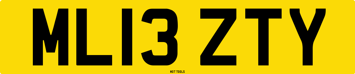 ML13ZTY MOT Check