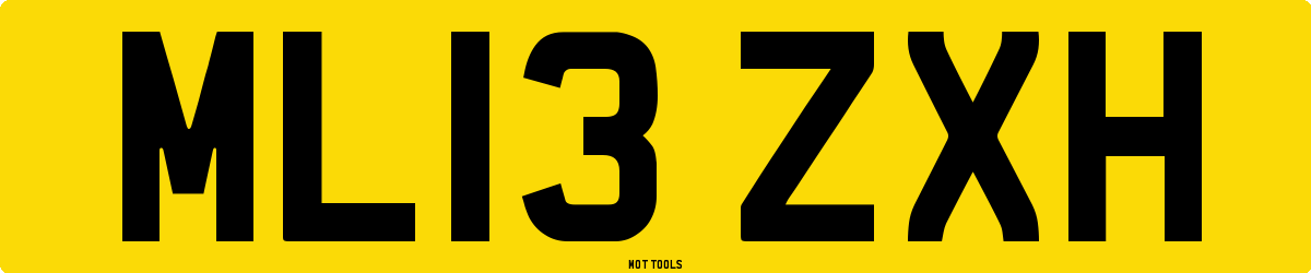 ML13ZXH MOT Check