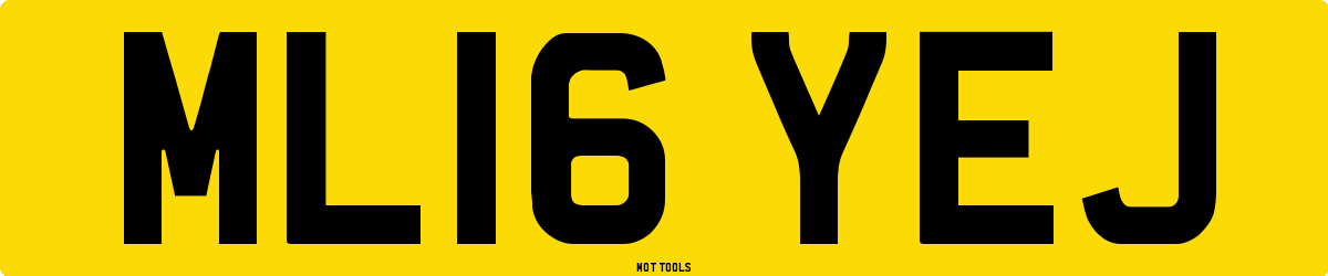 ML16YEJ MOT Check