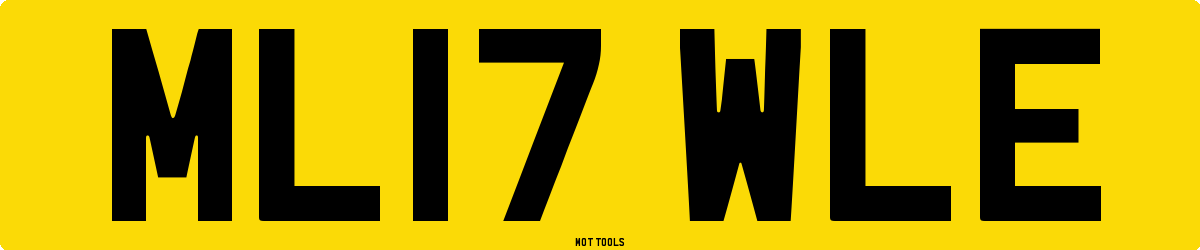 ML17WLE MOT Check