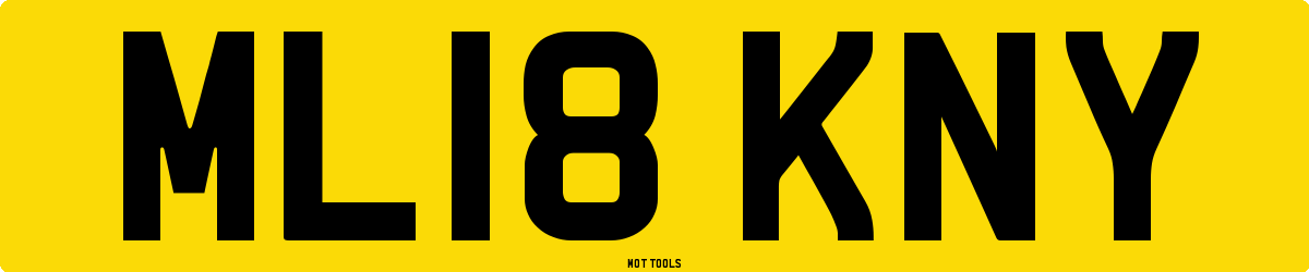 ML18KNY MOT Check