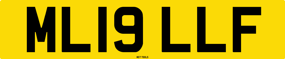 ML19LLF MOT Check