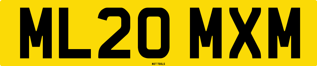ML20MXM MOT Check