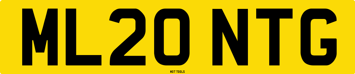 ML20NTG MOT Check