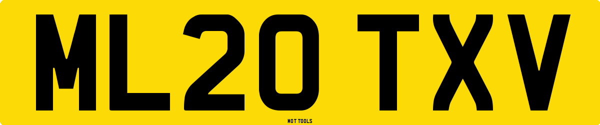 ML20TXV MOT Check